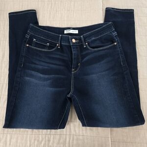 Levi Strauss Blue Signature Brand Skinny Jeans